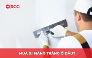 Mua xi măng trắng ở đâu?