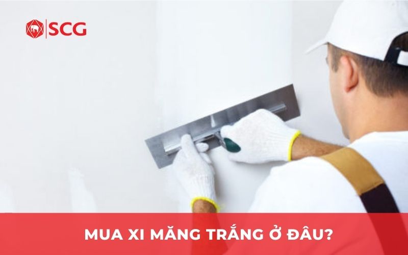 Mua xi măng trắng ở đâu?