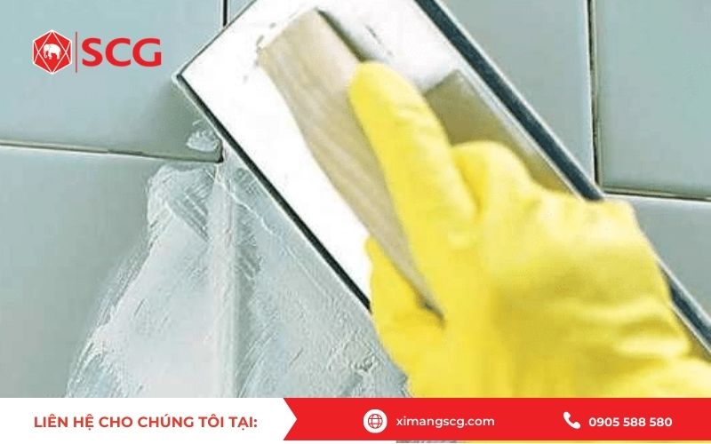 Mua xi măng trắng