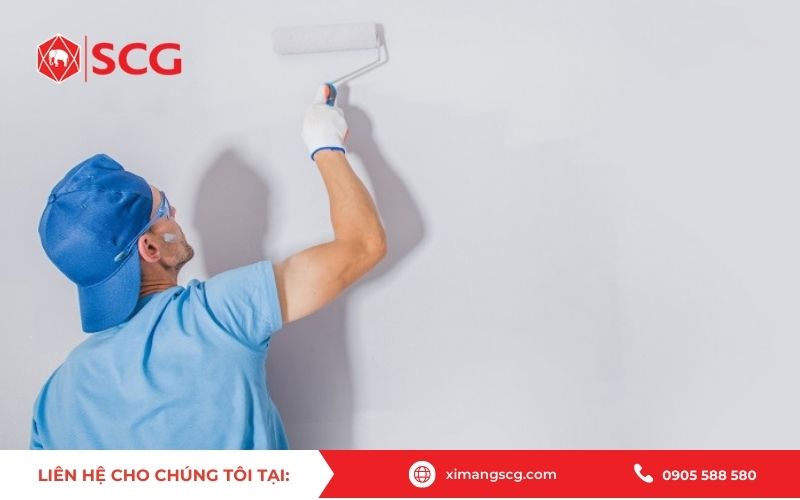 Mua xi măng trắng ở đâu?