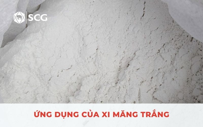 Mua xi măng trắng ở đâu?