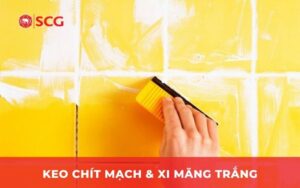 Xi măng trắng và keo chít mạch