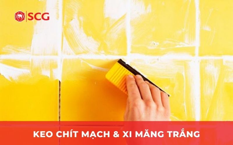 Xi măng trắng và keo chít mạch